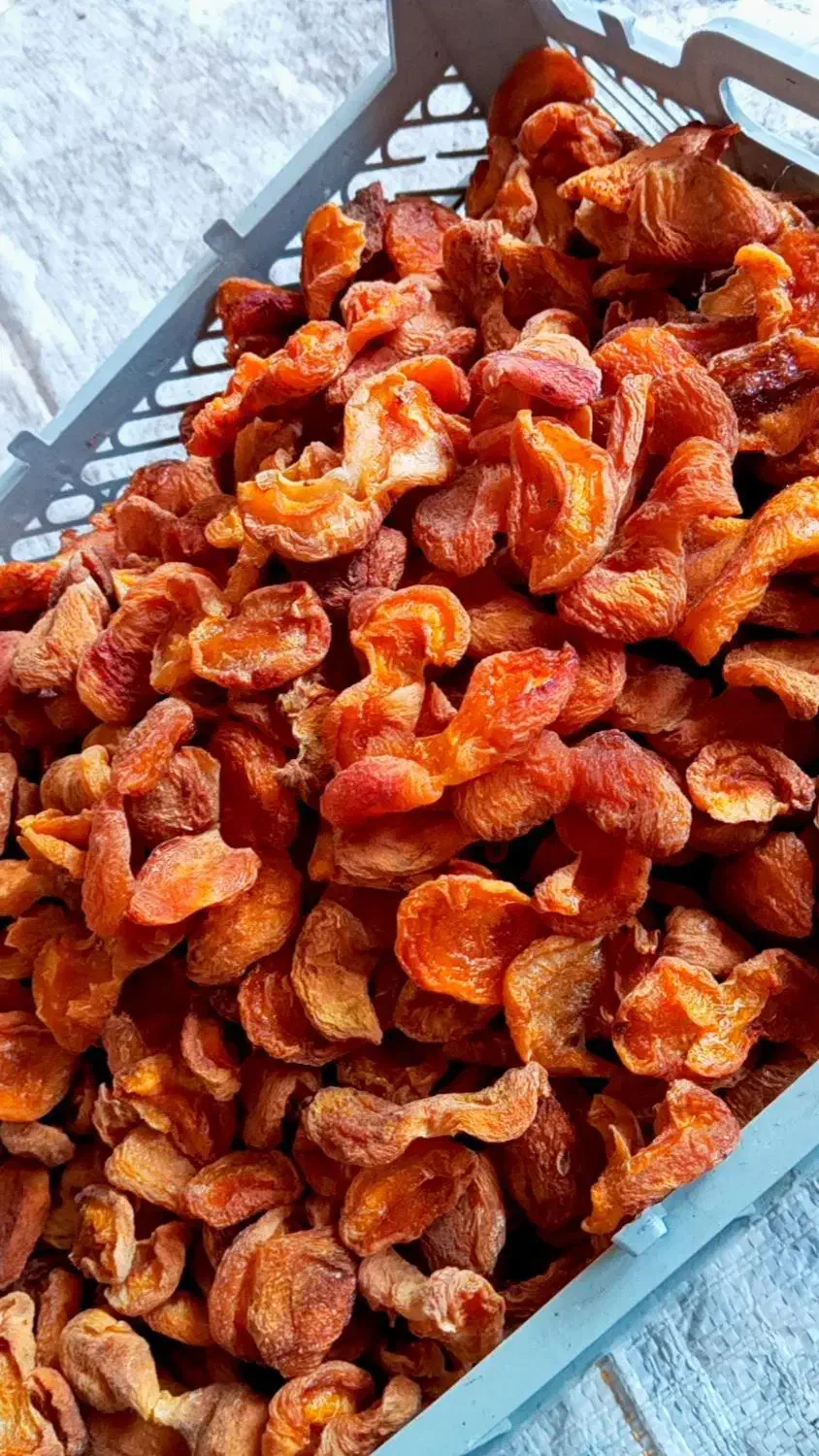 برگ زردالو|خوردنی و آشامیدنی|خوی, |دیوار