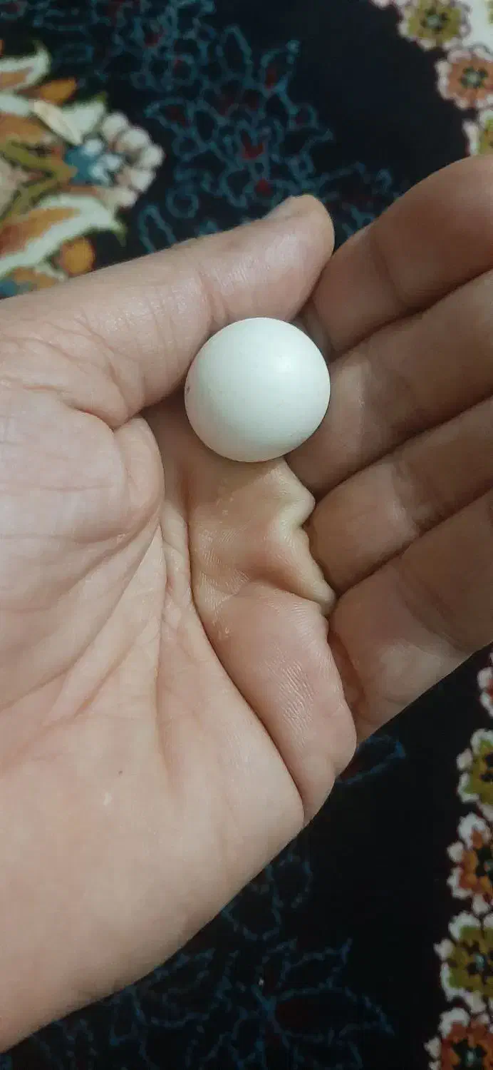 سنگ الماس اسیاب فروشی|جواهرات|بهارستان, |دیوار