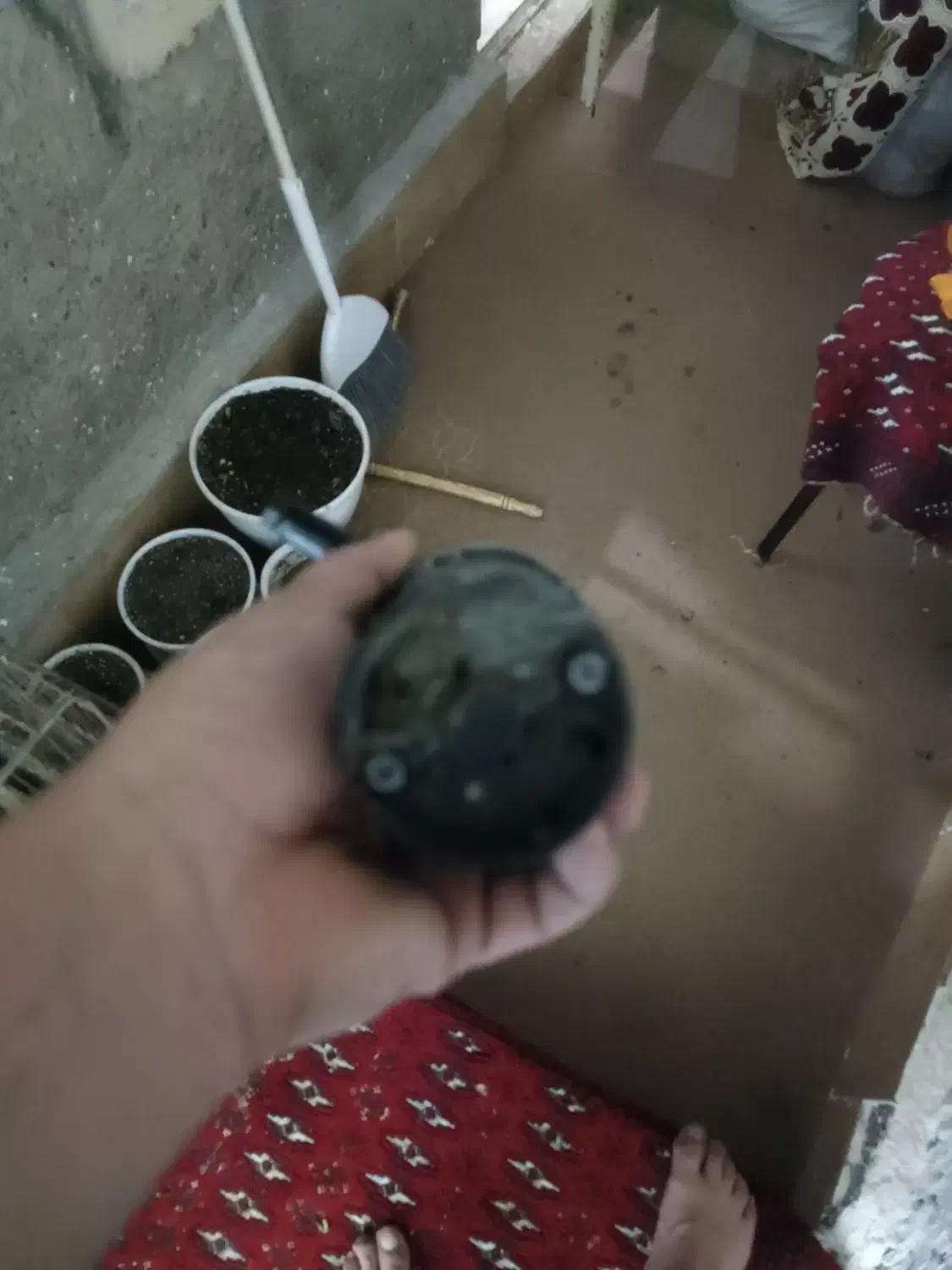 المانی|کلکسیون اشیاء عتیقه|مشهد, نوده|دیوار