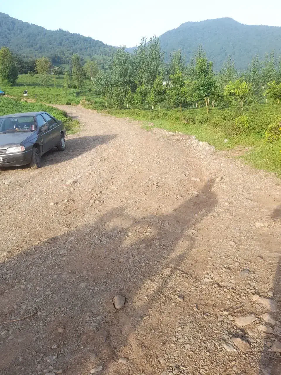 فروش باغ چای|فروش زمین و ملک کلنگی|رانکوه, |دیوار