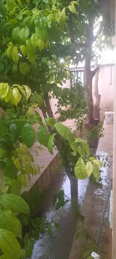 رضوانیه ۱۶متری ثمره|فروش خانه و ویلا|کرج, شهرک رضوانیه|دیوار