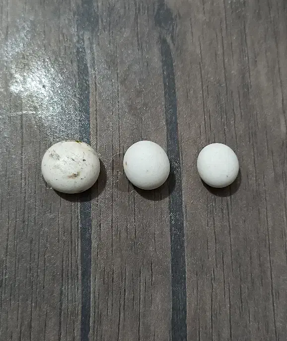 سنگ آسیاب|جواهرات|قزوین, |دیوار