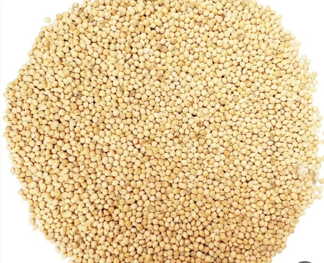 ارزن|گل و گیاه طبیعی|شیراز, بریجستون|دیوار