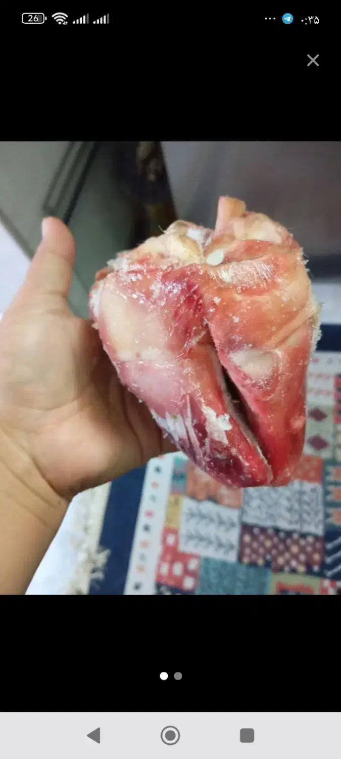 پاچه گاو|خوردنی و آشامیدنی|سمنان, |دیوار