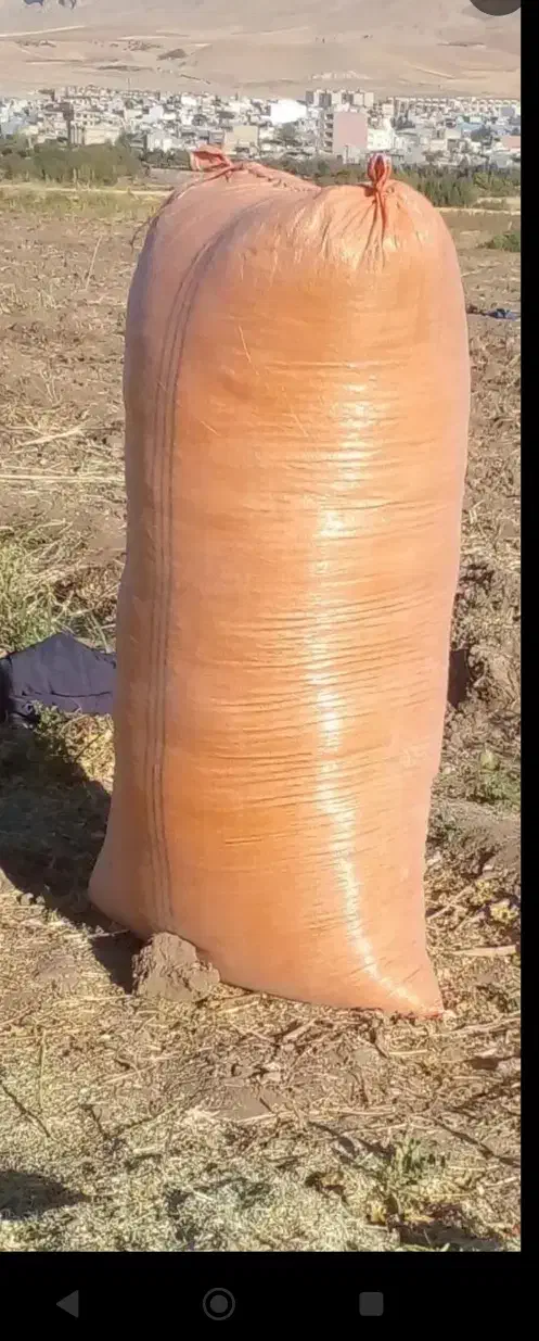 کاه دیم درجه یک حدود دو تن تو گونی تحویل درب خانه|عمده‌فروشی|هرسین, |دیوار