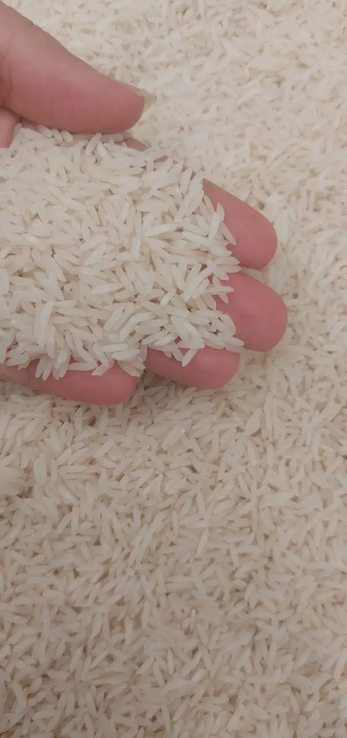 طارم هاشمی اعلا|خوردنی و آشامیدنی|اصفهان, دانشگاه اصفهان|دیوار