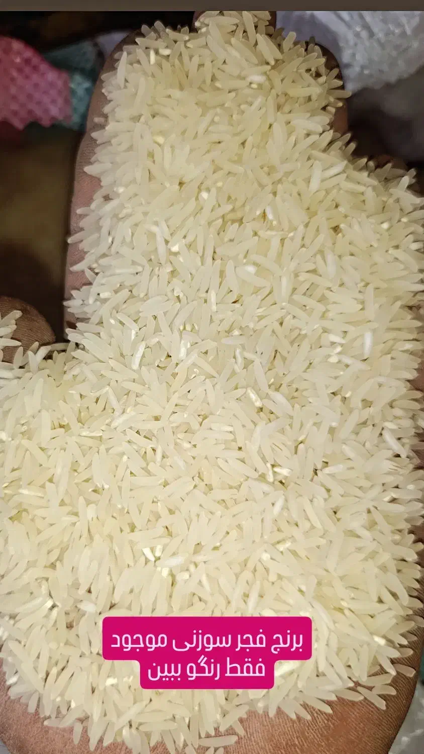 برنج فجرسوزنی پاییزه|عمدهفروشی|گنبد کاووس, |دیوار