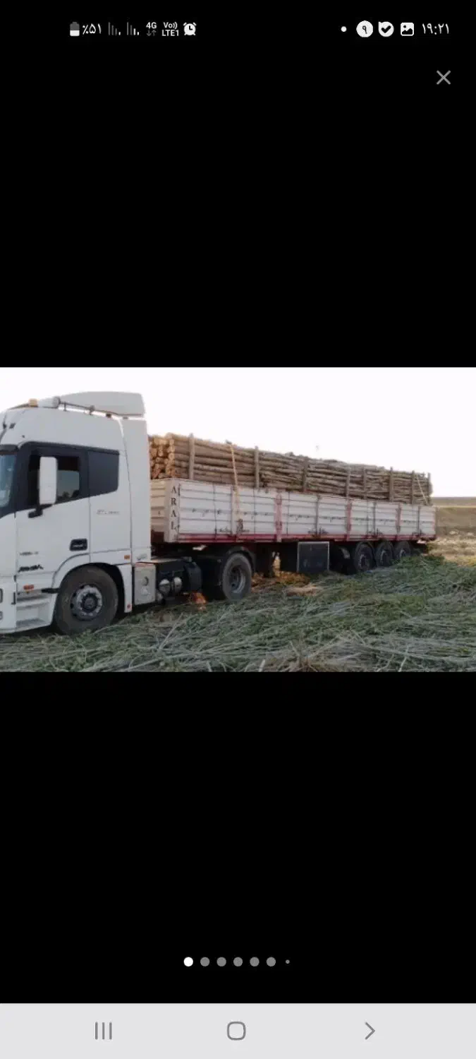 خرید انواع چوب صنوبر بید میوه|خدمات باغبانی و درختکاری|سنقر, |دیوار