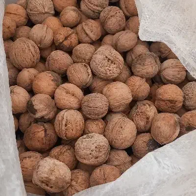 بادام|عمده‌فروشی|فاروج, |دیوار