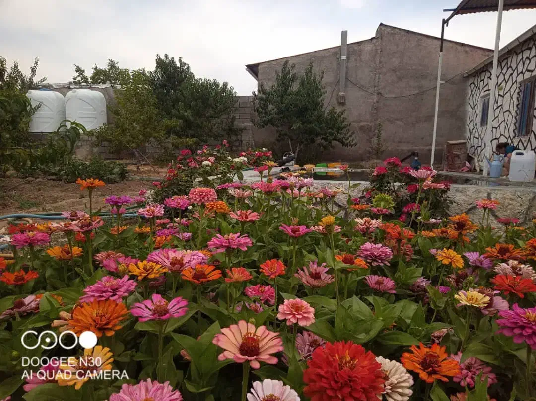 خدمات باغبانی ( ویژه )|خدمات باغبانی و درختکاری|تبریز, |دیوار