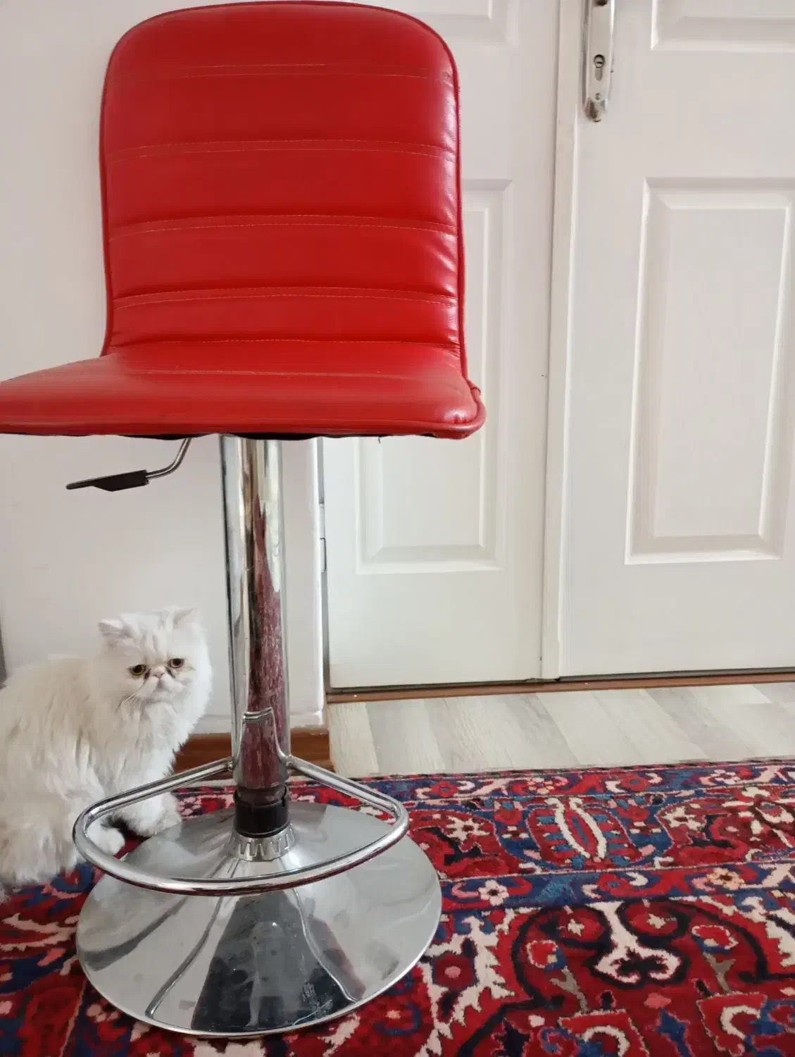 صندلی اپن یا کوتاهی|صندلی و نیمکت|ارومیه, |دیوار