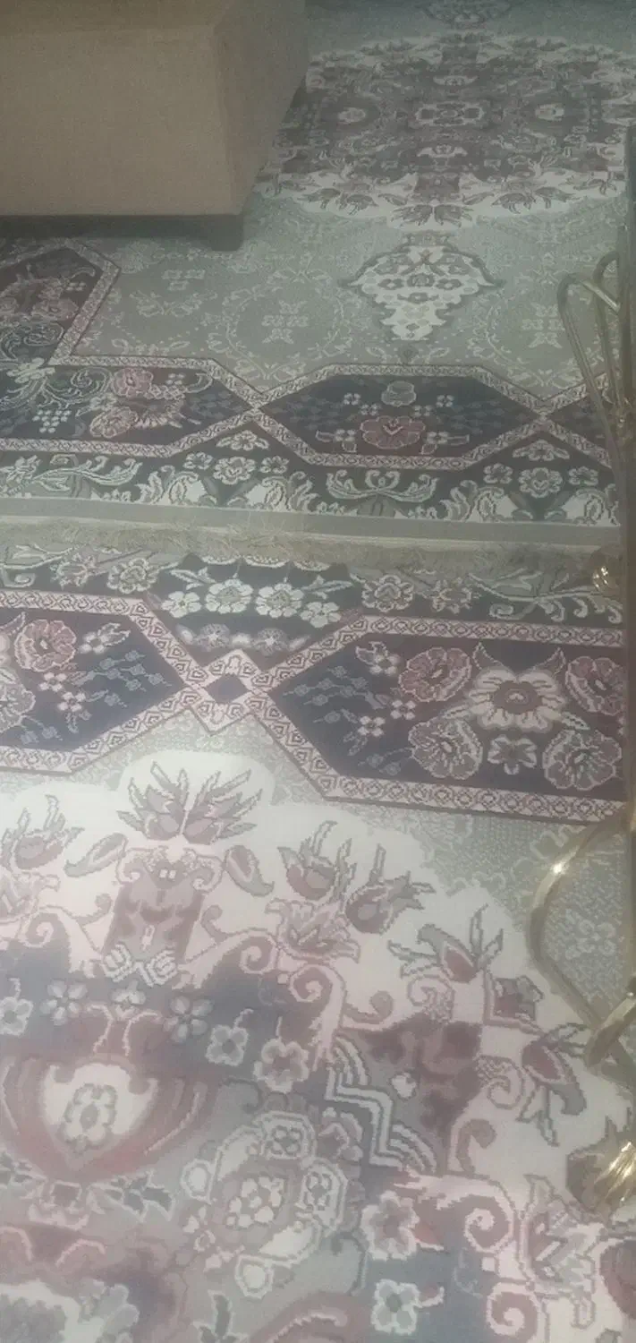 دو قطعه فرش ۶متری|فرش|صومعه‌سرا, |دیوار