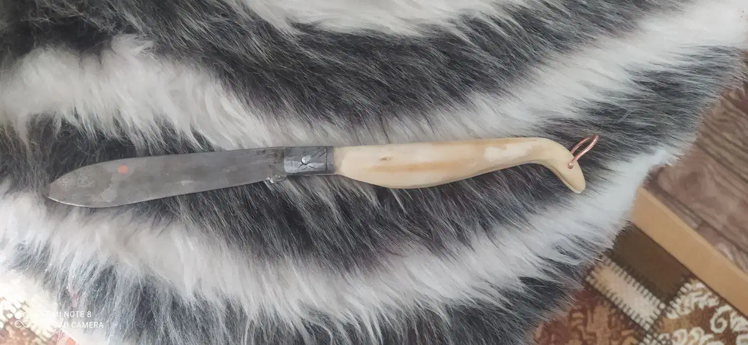 چاقو دسته استخوان|کوهنوردی و کمپینگ|خمینی‌شهر, |دیوار