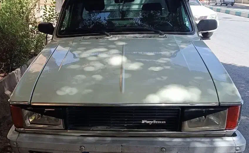 وانت تلفنی|خدمات حمل و نقل|اردکان, |دیوار