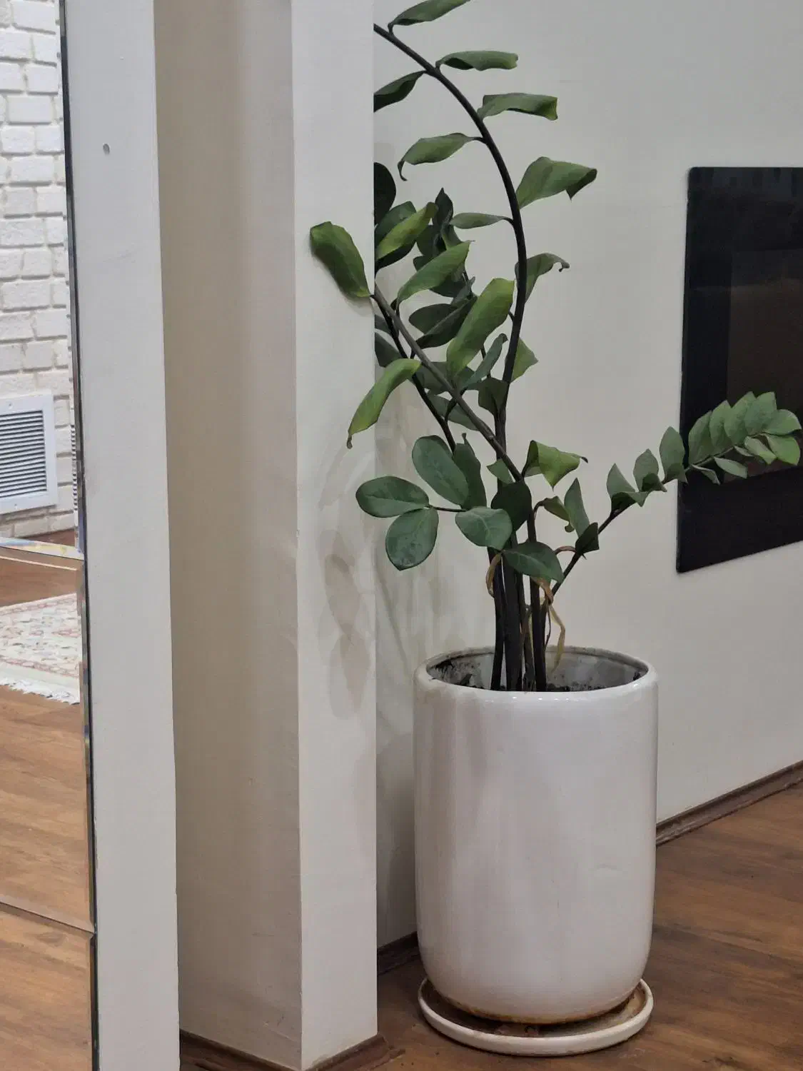 همخانه|اجارهٔ آپارتمان|شاهینشهر, عطار|دیوار