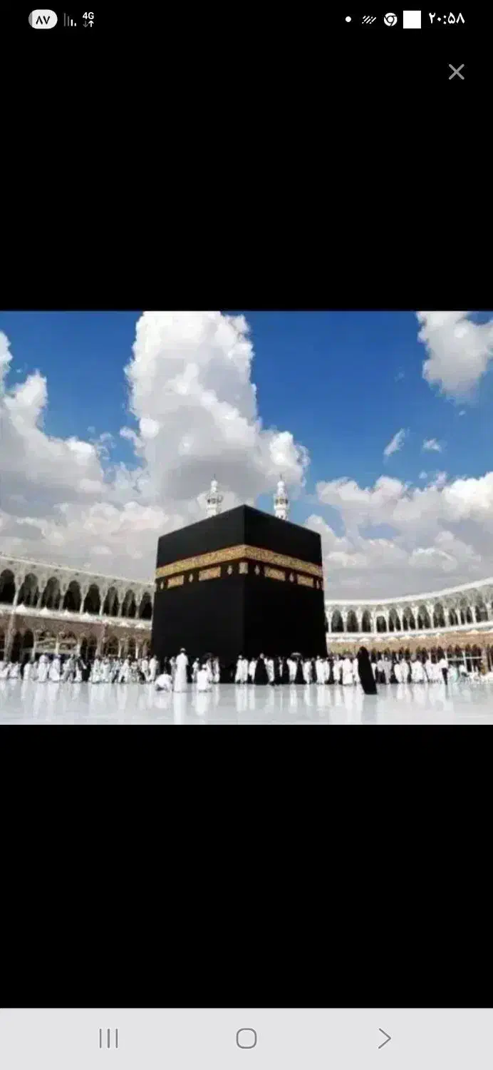 فیش مکه|تور و چارتر|مشهد, دانشجو|دیوار