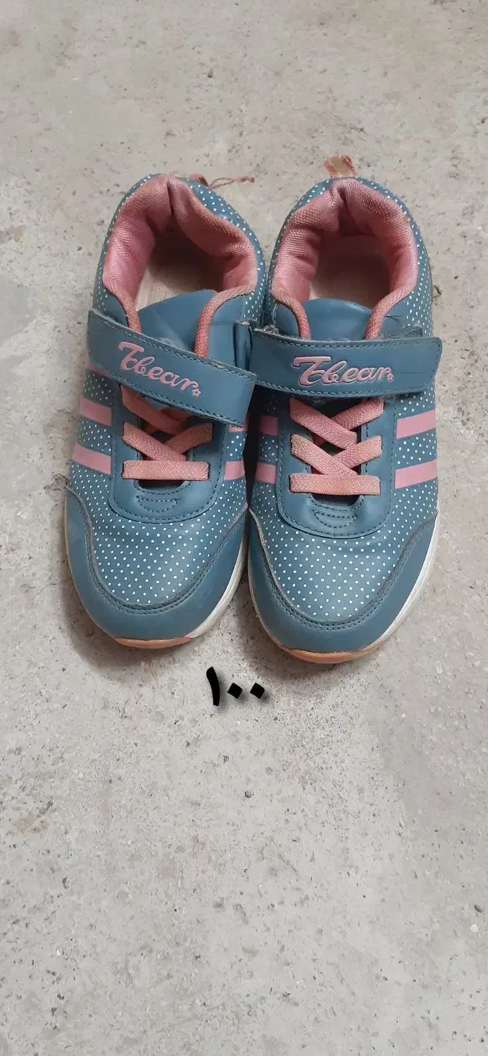 کفش|کیف، کفش، کمربند|تربت جام, جامی|دیوار