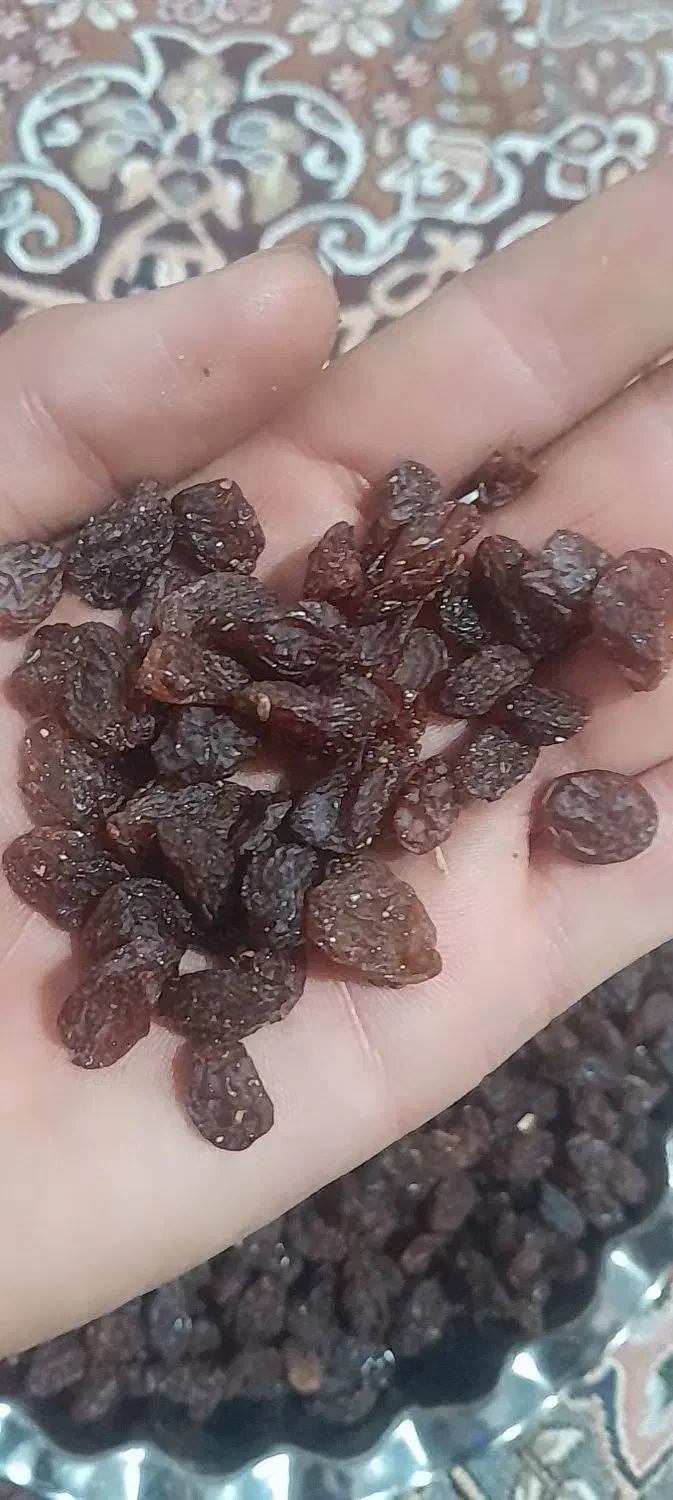 کشمش افتابی بی دانه|عمدهفروشی|تاکستان, |دیوار