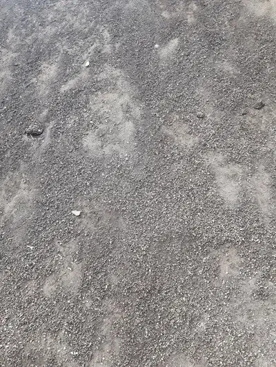 کرم خاکی برای بازیافت زباله و ماهیگیری|خزنده|تهران, فرودگاه مهرآباد|دیوار