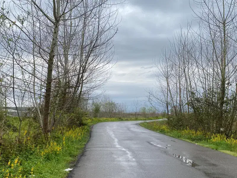 زمین گلسار آلمان|فروش زمین و ملک کلنگی|رشت, پستک|دیوار