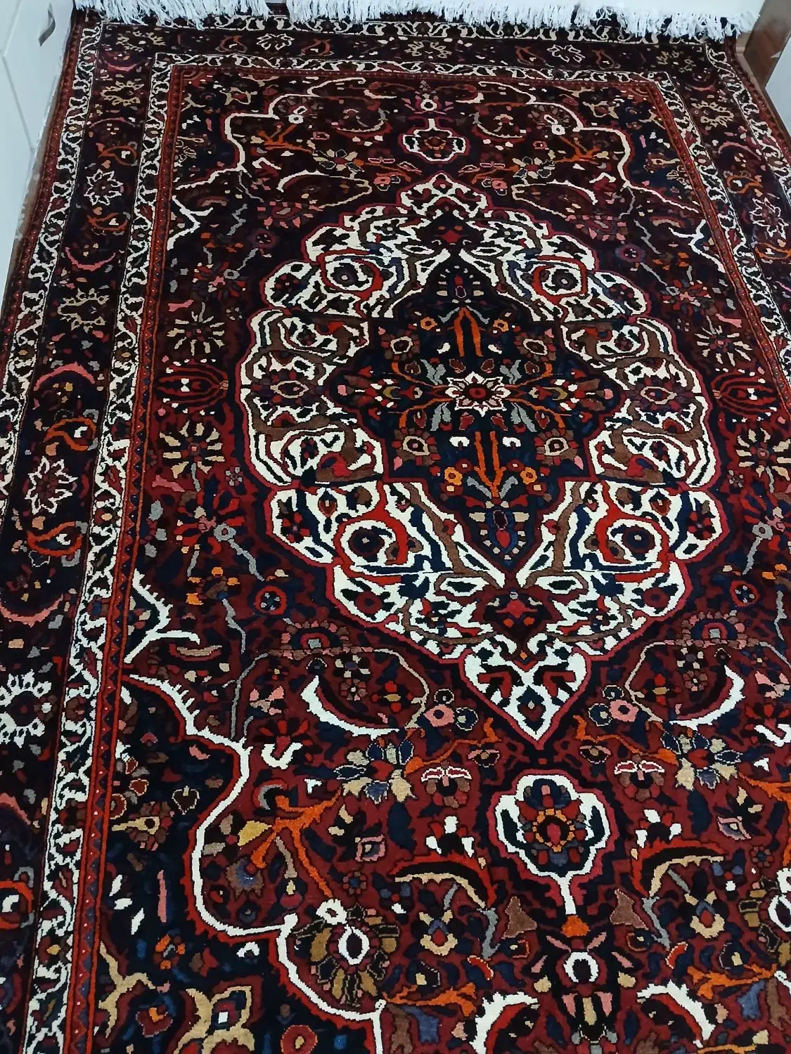 بختیار گوشتدار شور رفته|فرش|کرج, ساسانی (قلمستان)|دیوار