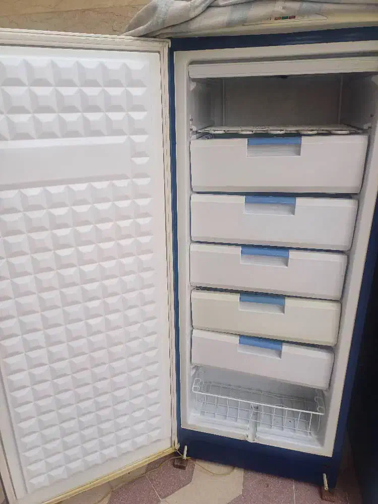 یخچال و فریزر|یخچال و فریزر|شیراز, باغشهر قصر سبز|دیوار