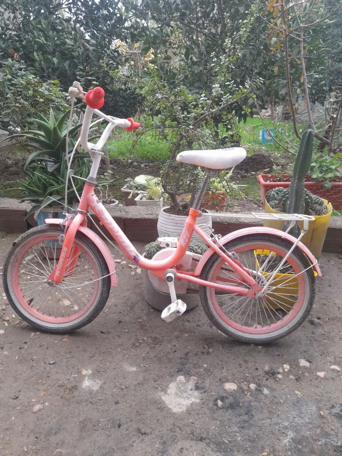 دوچرخه بچه گانه|دوچرخه، اسکیت، اسکوتر|گرگان, |دیوار