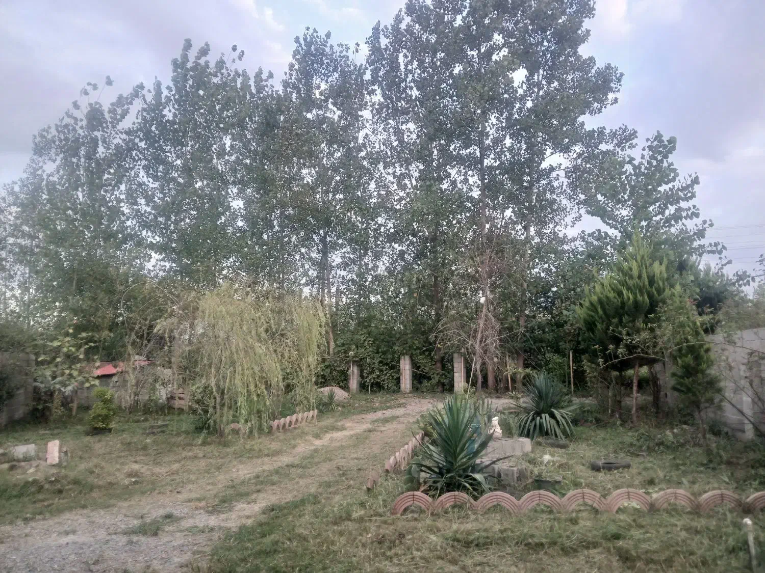 اجاره روزانه وهفتگی خانه ویلایی دربست باحیاط بزرگ|اجارهٔ کوتاه‌مدت آپارتمان و سوئیت|شفت, |دیوار