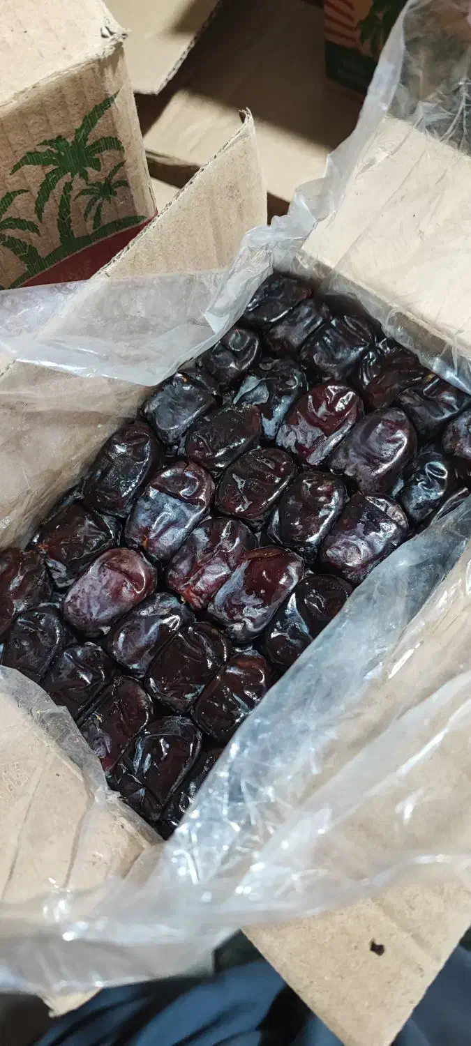 خرما|عمدهفروشی|آرمرده, |دیوار