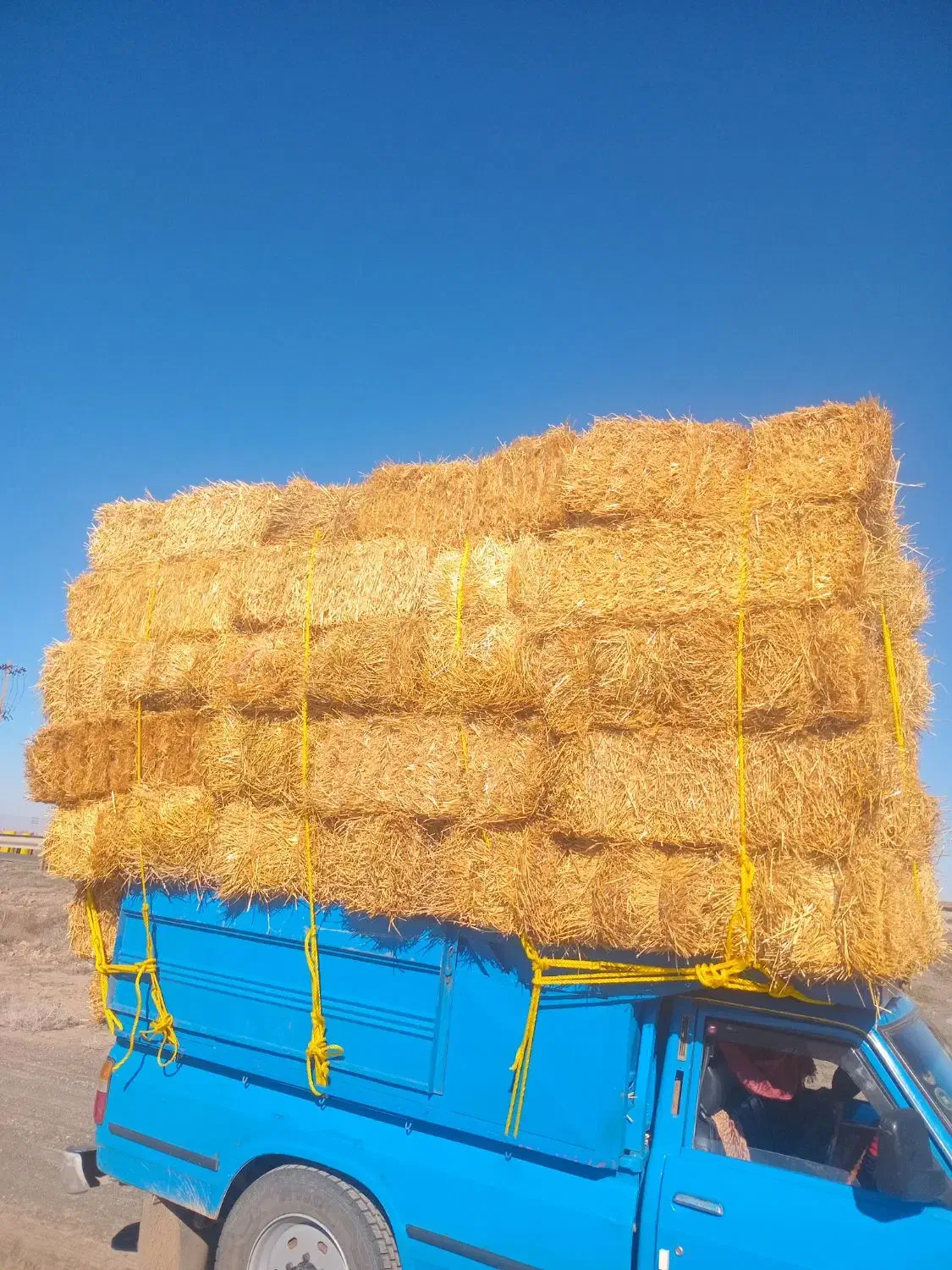 پرس گندم|لوازم جانبی حیوانات|نصر آباد, |دیوار