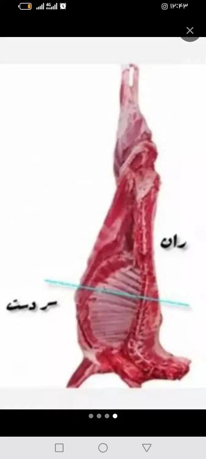 گوشت بره فقط و فقط بره نرینه|خوردنی و آشامیدنی|نیشابور, ناسیونال|دیوار