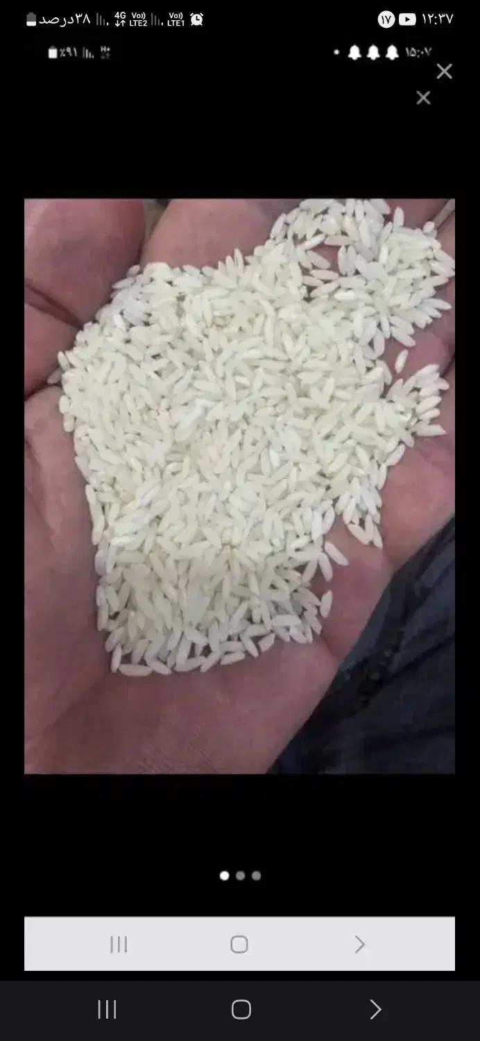 برنج تایلندی درجه یک|خوردنی و آشامیدنی|اهواز, شریعتی جنوبی|دیوار