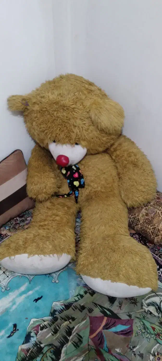 خرس شاسخین|اسباببازی بچه|تنکابن, |دیوار