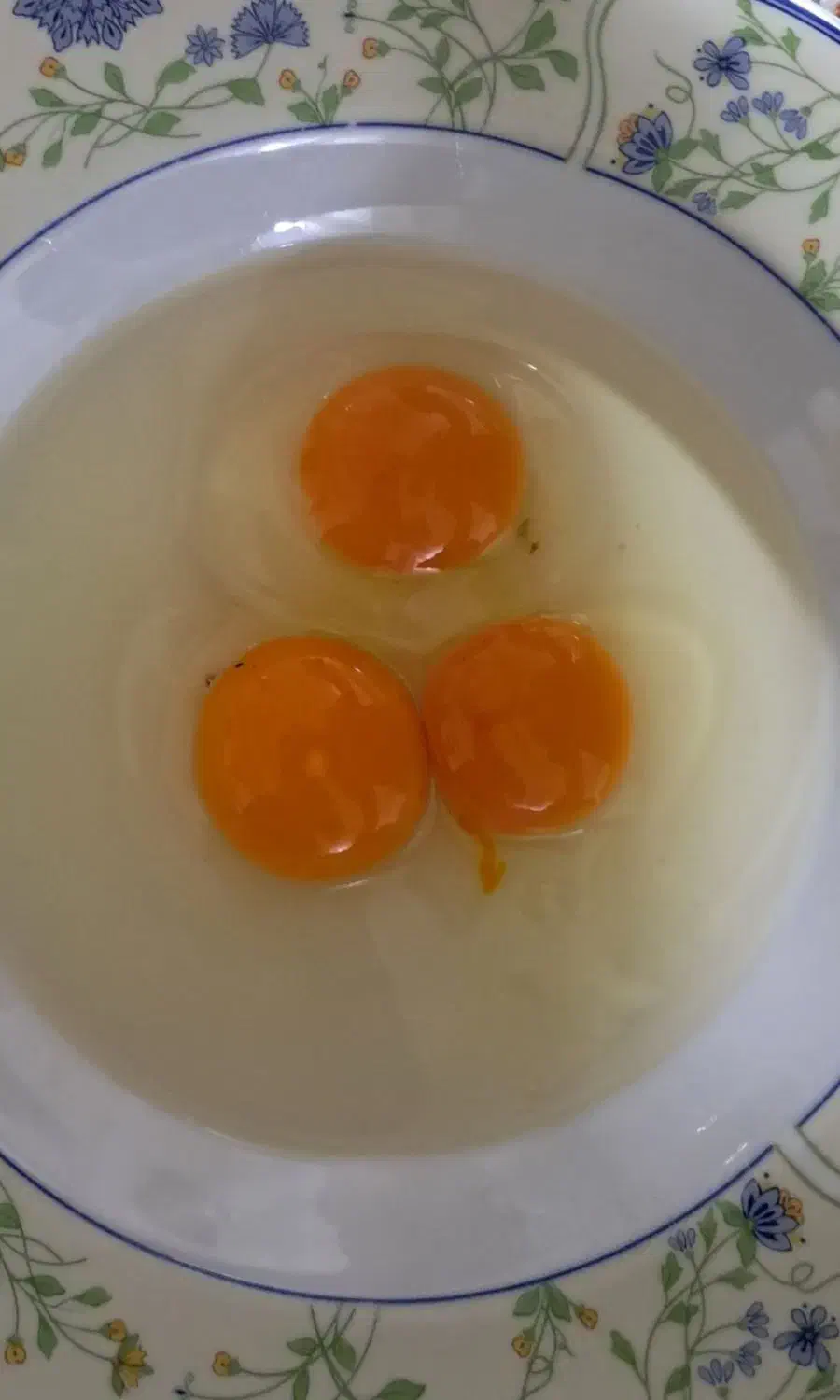 تخم مرغ محلی گلپایگان ارگانیک( سرشار از ای سلنیوم)|خوردنی و آشامیدنی|هشتگرد, هشتگرد قدیم|دیوار