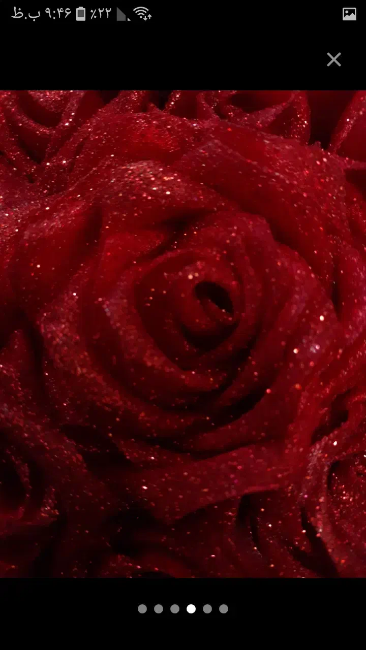 باکس قلبی|گل مصنوعی|سقز, |دیوار