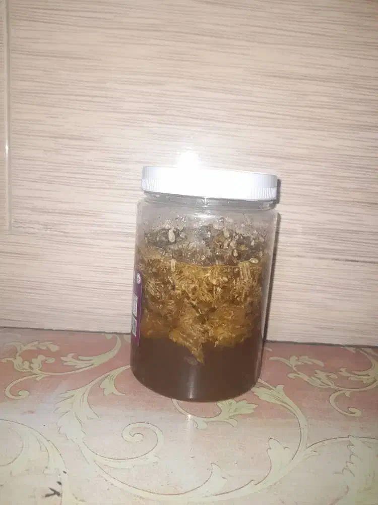 عسل کوهی|خوردنی و آشامیدنی|دهلران, |دیوار