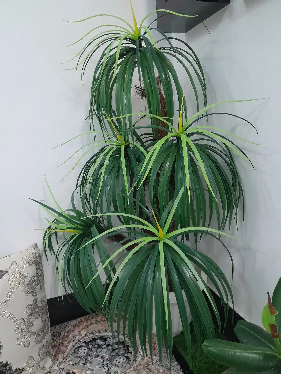 درختچه مصنوعی نخل مردابی|گل مصنوعی|زابل, |دیوار