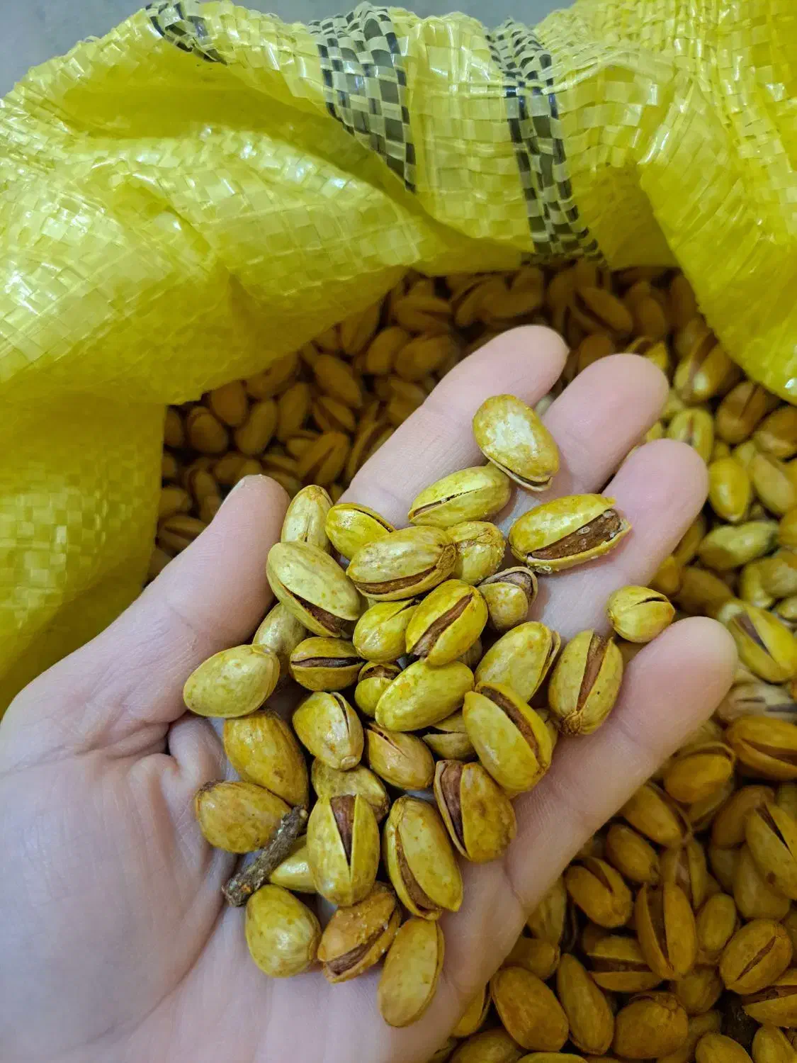 پسته شور|خوردنی و آشامیدنی|مشهد, کارگران|دیوار