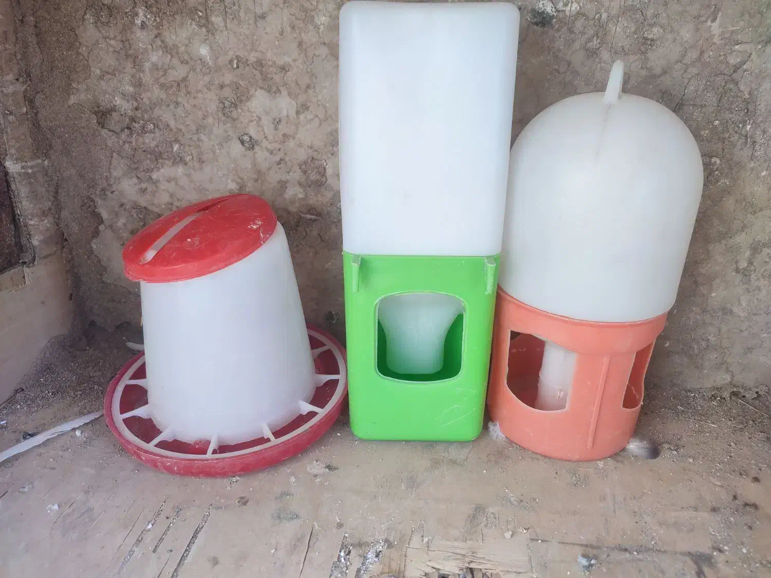 کبوتر 4عدد کفس|پرنده|قیروکارزین, |دیوار