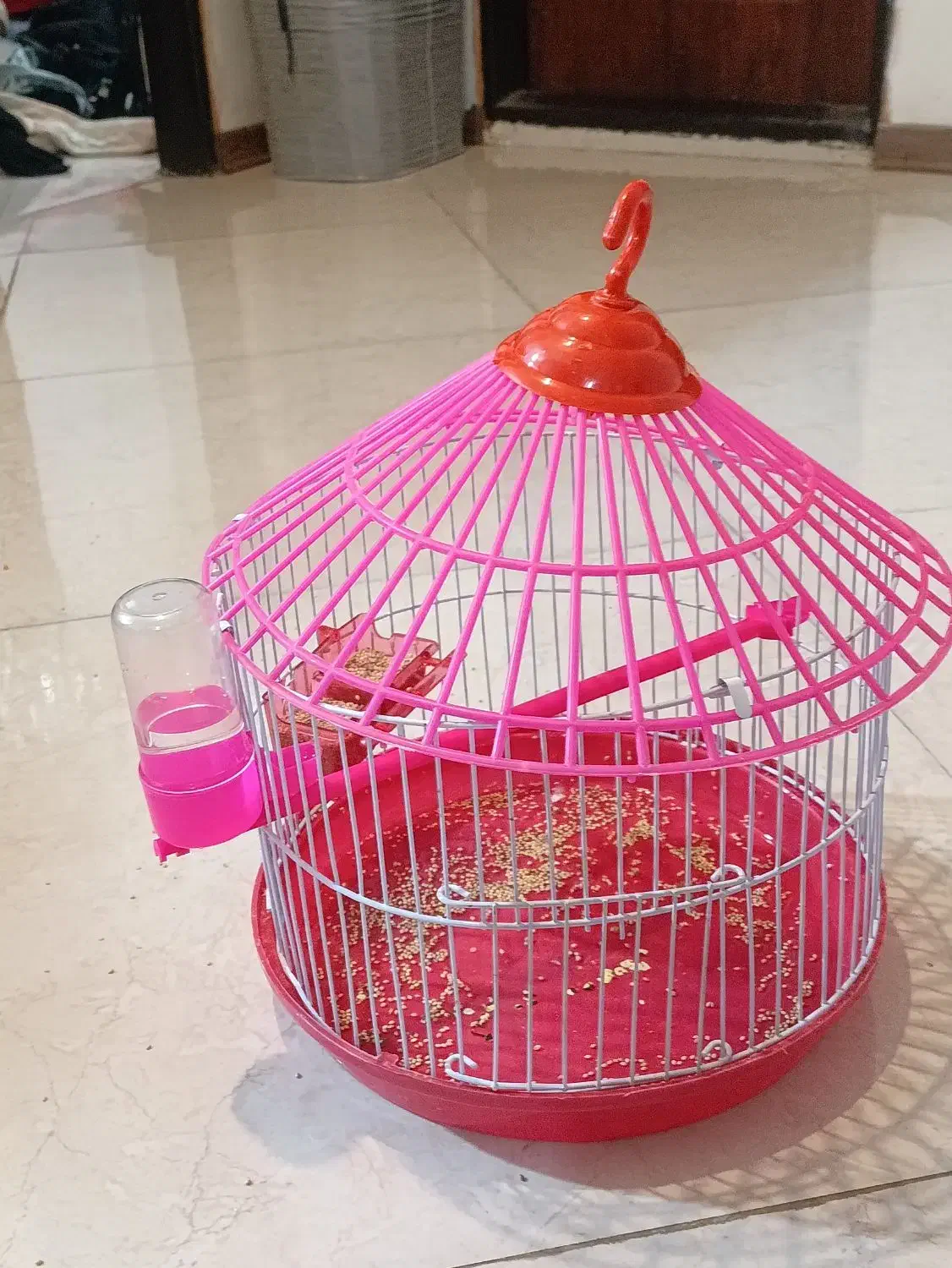 پرنده|پرنده|مشهد, رضاشهر|دیوار