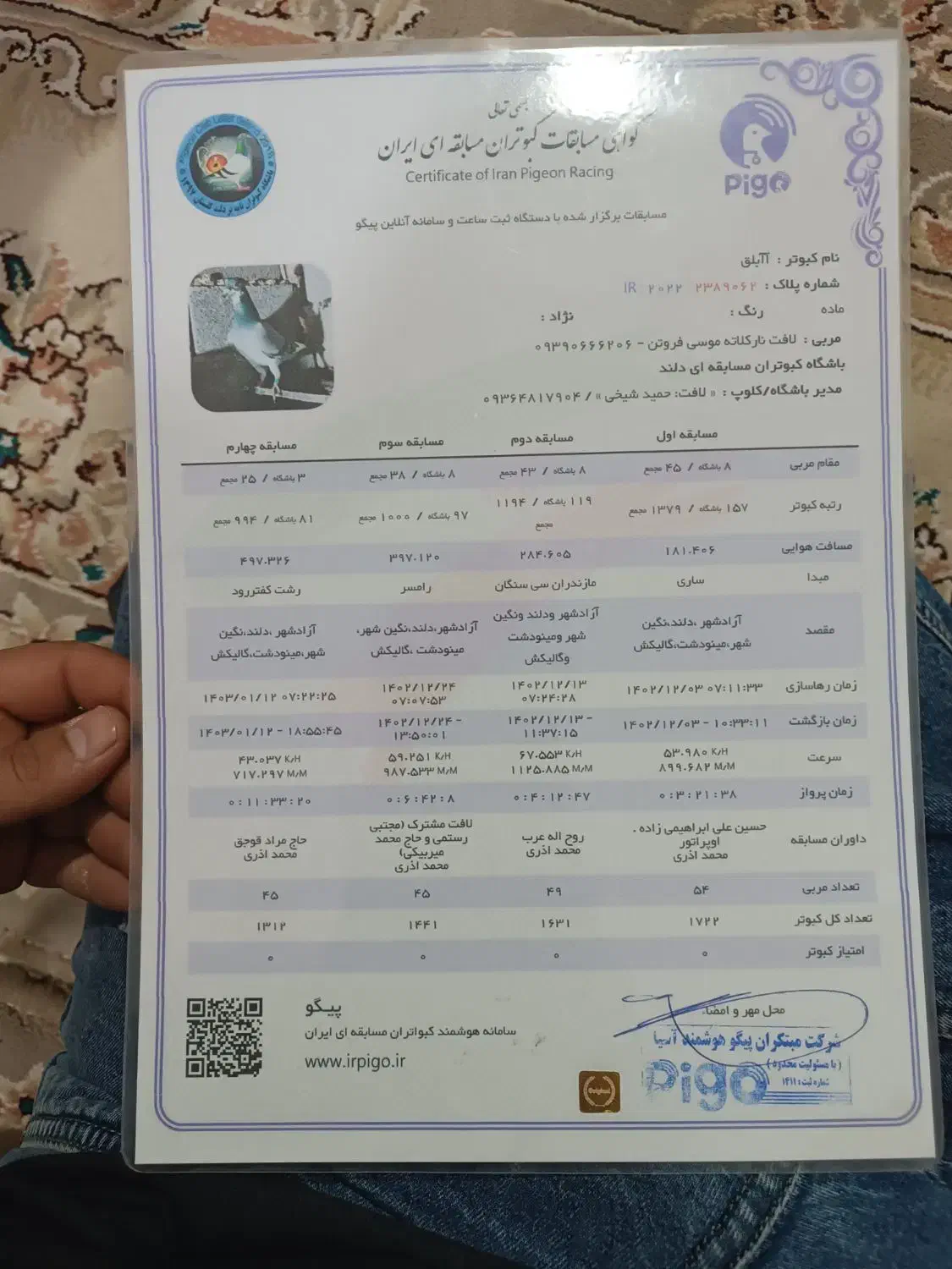 یه جفت کبوتر مسافتی|پرنده|تربت جام, معدآباد|دیوار