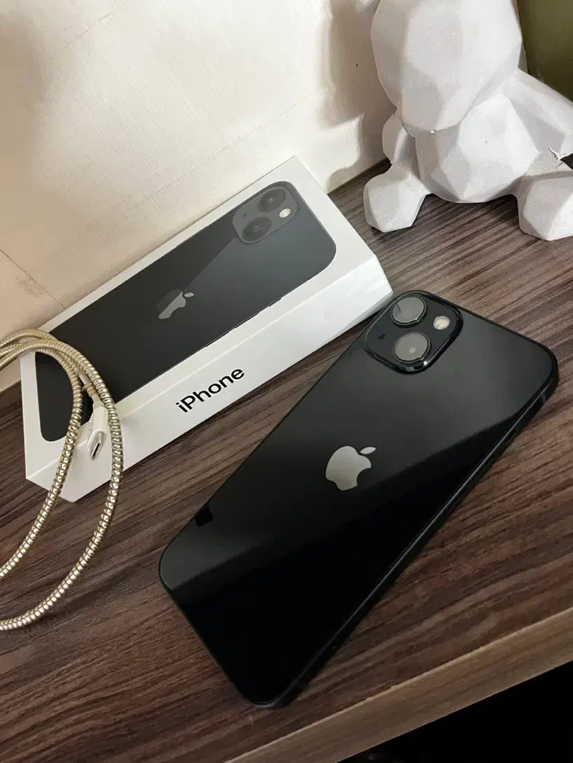 آیفون ۱۳ نرمال|موبایل|اصفهان, الهیه|دیوار