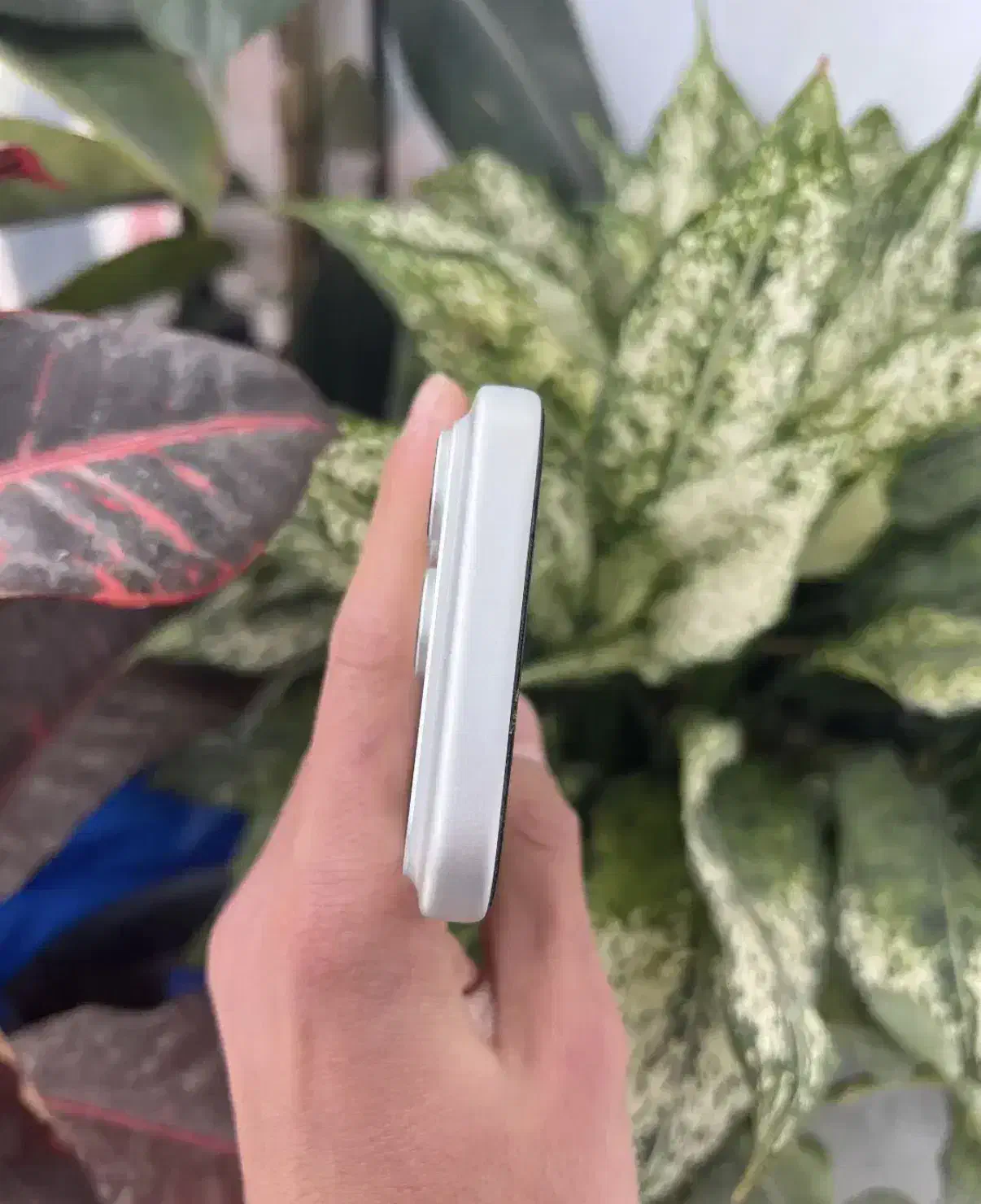 17 pro 256|موبایل|تهران, المهدی|دیوار