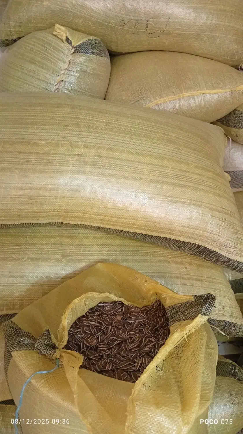 تخمه s400 عمده|عمدهفروشی|شیراز, باغ تخت|دیوار