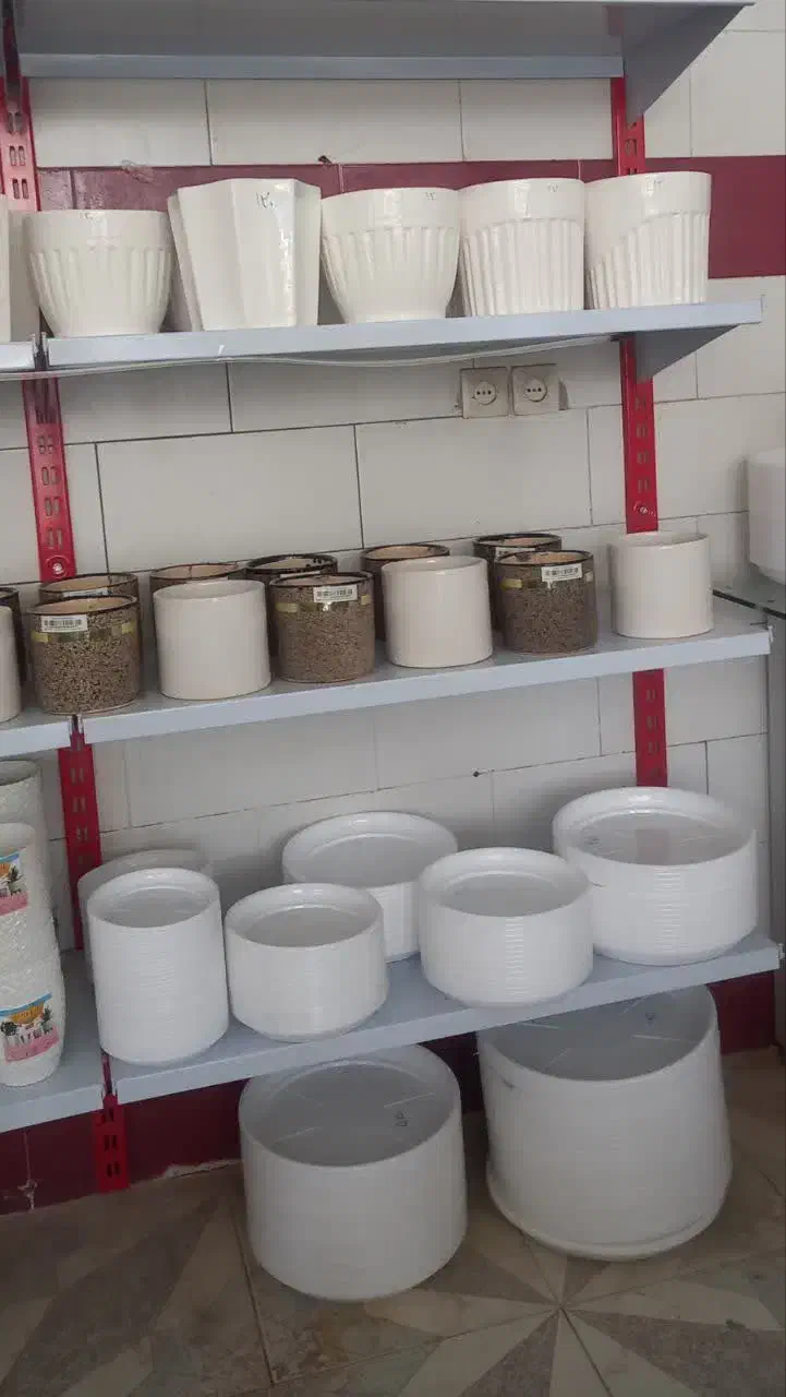 گل وگیاه|گل و گیاه طبیعی|یزد, |دیوار