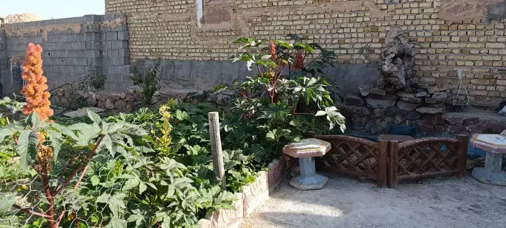 باغ ویلامعاوضه فروشی|فروش خانه و ویلا|رضویه, |دیوار