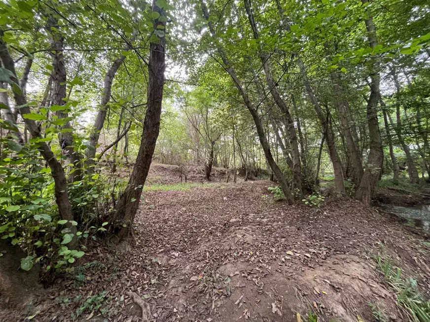 رهن خانه ویلایی ۱۰۰۰ متری مناسب برای کافه رستوران|اجارهٔ خانه و ویلا|لاهیجان, بوجایه|دیوار