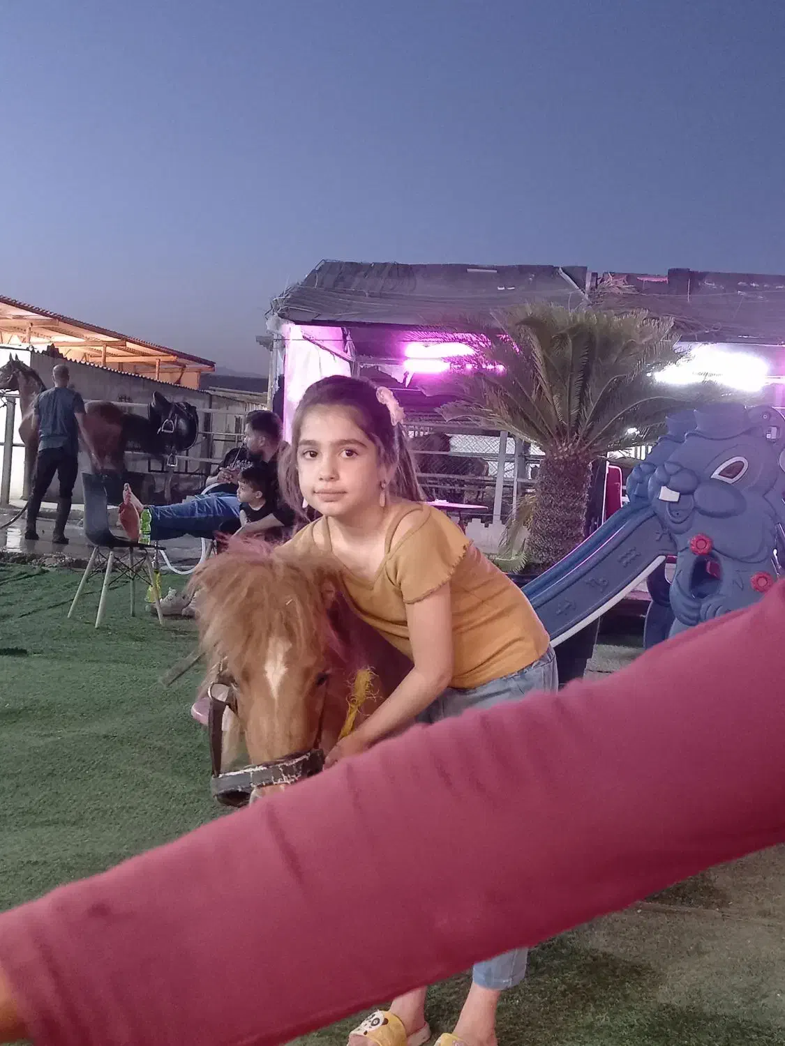 پانسیون وباشگاه سوارکاری جنب مترو|اسب و تجهیزات اسبسواری|باقرشهر, |دیوار