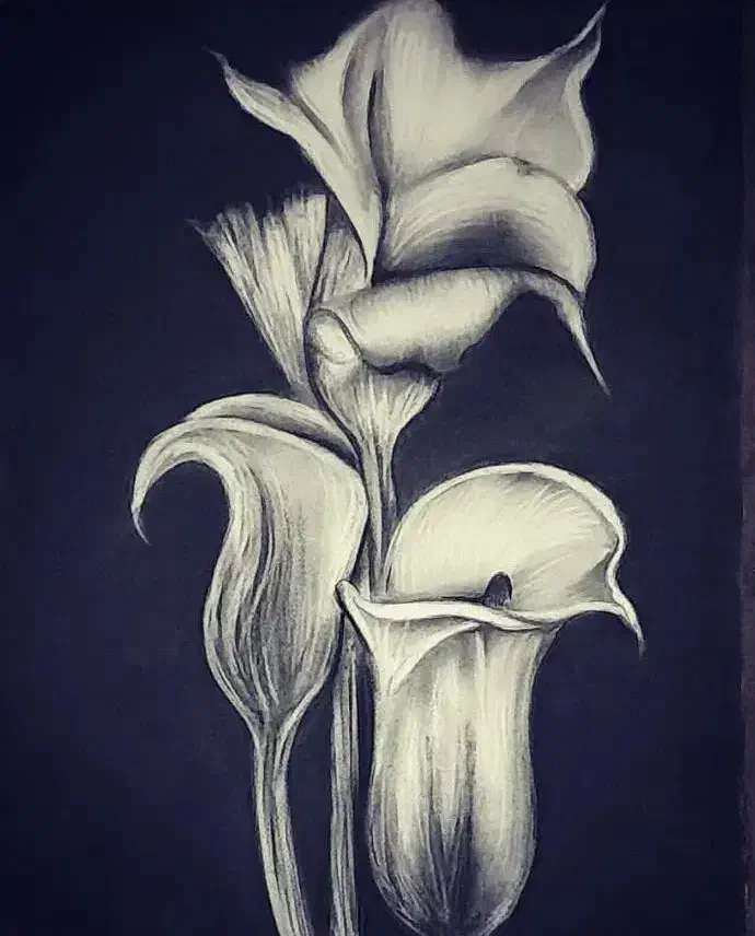 انواع طراحی به سبک های مختلف پذیرفته میشود|تابلو، نقاشی، عکس|تهران, امیریه|دیوار