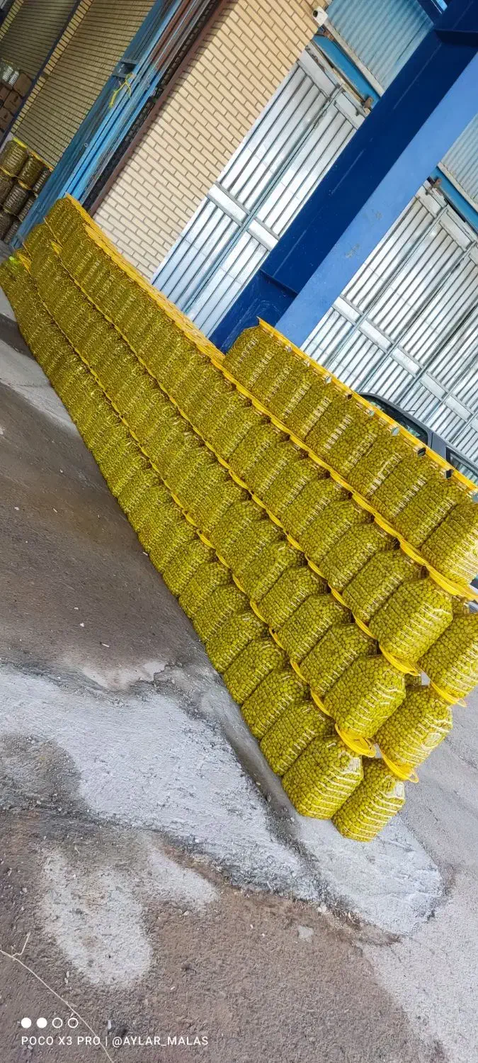 زیتون طارم|عمدهفروشی|قم, شهرک خودرو|دیوار